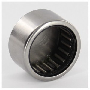 BK2518 RS Needle Bearing 