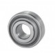 202NPP9 Radial Ball Bearing 